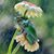 Thereasa Alcorn's profile image