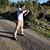Michael James Reeves's profile image