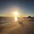 Marjorie Gilchrist's profile image