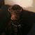 Don Dimmitt's profile image