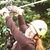 Jayne Cagle Combs's profile image