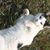Lorna Christensen's profile image