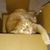Lori Liebhart Ervie's profile image