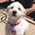 Amy Homrich's profile image