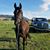 Debby Love's profile image