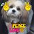 Nilar Nilar's profile image