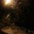 Masooma Talpur's profile image