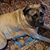 Debby Wanner's profile image