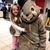 Susan Shipley's profile image