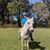 Chuck Lirette's profile image
