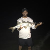 Samuel Flores's profile image