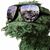 David Curry's profile image
