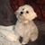 Barbara Hardy's profile image