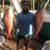 Robert Collazo's profile image