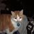 Gladys Houdersheldt's profile image