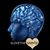 Tracy Ycart's profile image