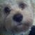 Amanda Hooker's profile image