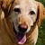 Rachel White Gehrcke's profile image