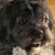 Helene Tapp's profile image