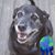 Rob Wolf's profile image