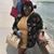 Ashlee Million's profile image