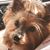 Peggie Lenhart Powell's profile image