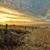 Mark A Brousseau's profile image