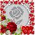 Anna LaRae Killian's profile image