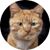 Jay Ward's profile image