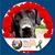 Art Scott's profile image