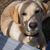 Trish Routt's profile image