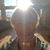 Dawn Melchert Cabana's profile image