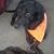 Patti Miller's profile image
