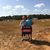 Betty Bracey Burns's profile image