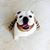 Shannon Cook Derrico's profile image