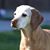 Sheryl Gregg Hohle's profile image