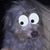 Paola Poly Velazquez's profile image