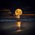 Andreas Hillringhaus's profile image