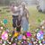 Alexis Lee Schaffer's profile image