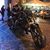 Gaetano Scotto Di Clemente's profile image