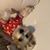 Jenn Behan Bohler's profile image