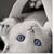 Gayle Kuhl's profile image