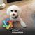 Paula Norman Paxton's profile image