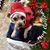 Christine Martin's profile image