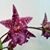 Pamela Donovan Berens's profile image