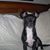 Nancy St Cyre's profile image