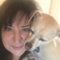 Sandy Kreutter's profile image