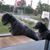 C Anne Gregory's profile image