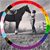 Molly Wrobel's profile image