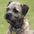 Pretty Pets Mobile Grooming's profile image